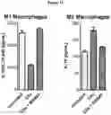 Fig. 12 - ANTIBODIES TARGETING C5AR
