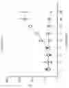 Fig. 06 - ANTIBODY AGENTS DIRECTED AGAINST LYMPHOCYTE ACTIVATION GENE-3 (LAG-3) AND USES THEREOF