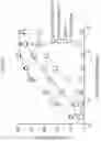 Fig. 07 - ANTIBODY AGENTS DIRECTED AGAINST LYMPHOCYTE ACTIVATION GENE-3 (LAG-3) AND USES THEREOF