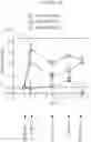 Fig. 15 - ANTIBODY AGENTS DIRECTED AGAINST LYMPHOCYTE ACTIVATION GENE-3 (LAG-3) AND USES THEREOF