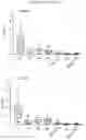 Fig. 19 - ANTIBODY AGENTS DIRECTED AGAINST LYMPHOCYTE ACTIVATION GENE-3 (LAG-3) AND USES THEREOF