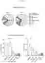 Fig. 20 - ANTIBODY AGENTS DIRECTED AGAINST LYMPHOCYTE ACTIVATION GENE-3 (LAG-3) AND USES THEREOF