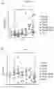 Fig. 24 - ANTIBODY AGENTS DIRECTED AGAINST LYMPHOCYTE ACTIVATION GENE-3 (LAG-3) AND USES THEREOF