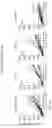 Fig. 27 - ANTIBODY AGENTS DIRECTED AGAINST LYMPHOCYTE ACTIVATION GENE-3 (LAG-3) AND USES THEREOF