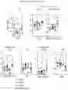 Fig. 28 - ANTIBODY AGENTS DIRECTED AGAINST LYMPHOCYTE ACTIVATION GENE-3 (LAG-3) AND USES THEREOF