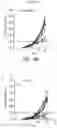 Fig. 32 - ANTIBODY AGENTS DIRECTED AGAINST LYMPHOCYTE ACTIVATION GENE-3 (LAG-3) AND USES THEREOF
