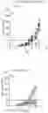 Fig. 34 - ANTIBODY AGENTS DIRECTED AGAINST LYMPHOCYTE ACTIVATION GENE-3 (LAG-3) AND USES THEREOF