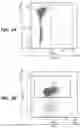Fig. 05 - ANTI-RABBIT CD19 ANTIBODIES AND METHODS OF USE