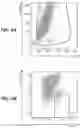 Fig. 07 - ANTI-RABBIT CD19 ANTIBODIES AND METHODS OF USE