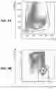 Fig. 09 - ANTI-RABBIT CD19 ANTIBODIES AND METHODS OF USE