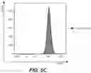 Fig. 10 - ANTI-RABBIT CD19 ANTIBODIES AND METHODS OF USE