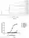 Fig. 03 - ANTI-TIM-3 ANTIBODIES AND USE THEREOF