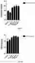 Fig. 06 - ANTI-TIM-3 ANTIBODIES AND USE THEREOF