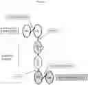 Fig. 03 - MULTISPECIFIC ANTIGEN BINDING PROTEINS