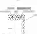 Fig. 04 - MULTISPECIFIC ANTIGEN BINDING PROTEINS