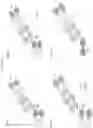 Fig. 10 - MULTISPECIFIC ANTIGEN BINDING PROTEINS