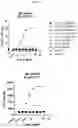 Fig. 13 - MULTISPECIFIC ANTIGEN BINDING PROTEINS