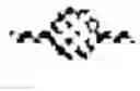Fig. 09 - Antibodies to programmed cell death protein 1