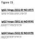 Fig. 24 - BISPECIFIC ANTIBODIES THAT BIND PD-L1 AND CD28