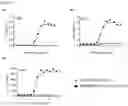 Fig. 78 - BISPECIFIC ANTIBODIES THAT BIND PD-L1 AND CD28