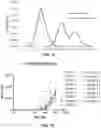 Fig. 12 - METHODS AND COMPOSITIONS RELATING TO CHEMOKINE RECEPTOR VARIANTS