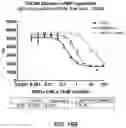 Fig. 21 - METHODS AND COMPOSITIONS RELATING TO CHEMOKINE RECEPTOR VARIANTS
