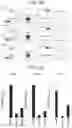 Fig. 04 - Treatment or prevention method of radiation damage by administration of IL-5 receptor alpha chain binding antibody