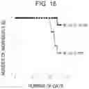 Fig. 17 - Treatment or prevention method of radiation damage by administration of IL-5 receptor alpha chain binding antibody