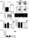 Fig. 02 - CONJUGATES FOR TREATING INFLAMMATORY DISEASE AND IDENTIFICATION OF PATIENTS LIKELY TO BENEFIT FROM SUCH TREATMENT