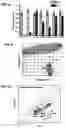 Fig. 07 - CONJUGATES FOR TREATING INFLAMMATORY DISEASE AND IDENTIFICATION OF PATIENTS LIKELY TO BENEFIT FROM SUCH TREATMENT
