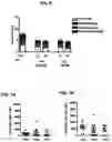 Fig. 09 - CONJUGATES FOR TREATING INFLAMMATORY DISEASE AND IDENTIFICATION OF PATIENTS LIKELY TO BENEFIT FROM SUCH TREATMENT