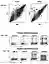 Fig. 11 - CONJUGATES FOR TREATING INFLAMMATORY DISEASE AND IDENTIFICATION OF PATIENTS LIKELY TO BENEFIT FROM SUCH TREATMENT