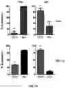 Fig. 12 - CONJUGATES FOR TREATING INFLAMMATORY DISEASE AND IDENTIFICATION OF PATIENTS LIKELY TO BENEFIT FROM SUCH TREATMENT