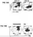 Fig. 13 - CONJUGATES FOR TREATING INFLAMMATORY DISEASE AND IDENTIFICATION OF PATIENTS LIKELY TO BENEFIT FROM SUCH TREATMENT