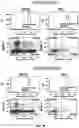 Fig. 15 - CONJUGATES FOR TREATING INFLAMMATORY DISEASE AND IDENTIFICATION OF PATIENTS LIKELY TO BENEFIT FROM SUCH TREATMENT