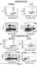 Fig. 16 - CONJUGATES FOR TREATING INFLAMMATORY DISEASE AND IDENTIFICATION OF PATIENTS LIKELY TO BENEFIT FROM SUCH TREATMENT