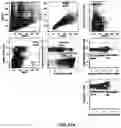 Fig. 19 - CONJUGATES FOR TREATING INFLAMMATORY DISEASE AND IDENTIFICATION OF PATIENTS LIKELY TO BENEFIT FROM SUCH TREATMENT