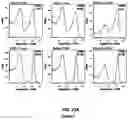 Fig. 20 - CONJUGATES FOR TREATING INFLAMMATORY DISEASE AND IDENTIFICATION OF PATIENTS LIKELY TO BENEFIT FROM SUCH TREATMENT