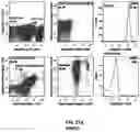 Fig. 21 - CONJUGATES FOR TREATING INFLAMMATORY DISEASE AND IDENTIFICATION OF PATIENTS LIKELY TO BENEFIT FROM SUCH TREATMENT