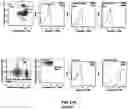 Fig. 22 - CONJUGATES FOR TREATING INFLAMMATORY DISEASE AND IDENTIFICATION OF PATIENTS LIKELY TO BENEFIT FROM SUCH TREATMENT