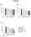 Fig. 05 - NOVEL CD40-BINDING ANTIBODIES