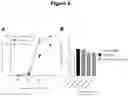 Fig. 10 - NOVEL CD40-BINDING ANTIBODIES