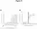 Fig. 12 - NOVEL CD40-BINDING ANTIBODIES
