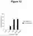 Fig. 13 - NOVEL CD40-BINDING ANTIBODIES
