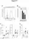 Fig. 18 - NOVEL CD40-BINDING ANTIBODIES