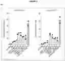 Fig. 05 - CD38 antibody