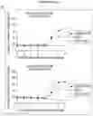 Fig. 08 - CD38 antibody