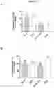 Fig. 13 - CD38 antibody