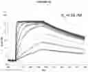 Fig. 16 - CD38 antibody