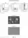 Fig. 04 - CHIMERIC ANTIGEN RECEPTOR COMPRISING INTERLEUKIN-15 INTRACELLULAR DOMAIN AND USES THEREOF